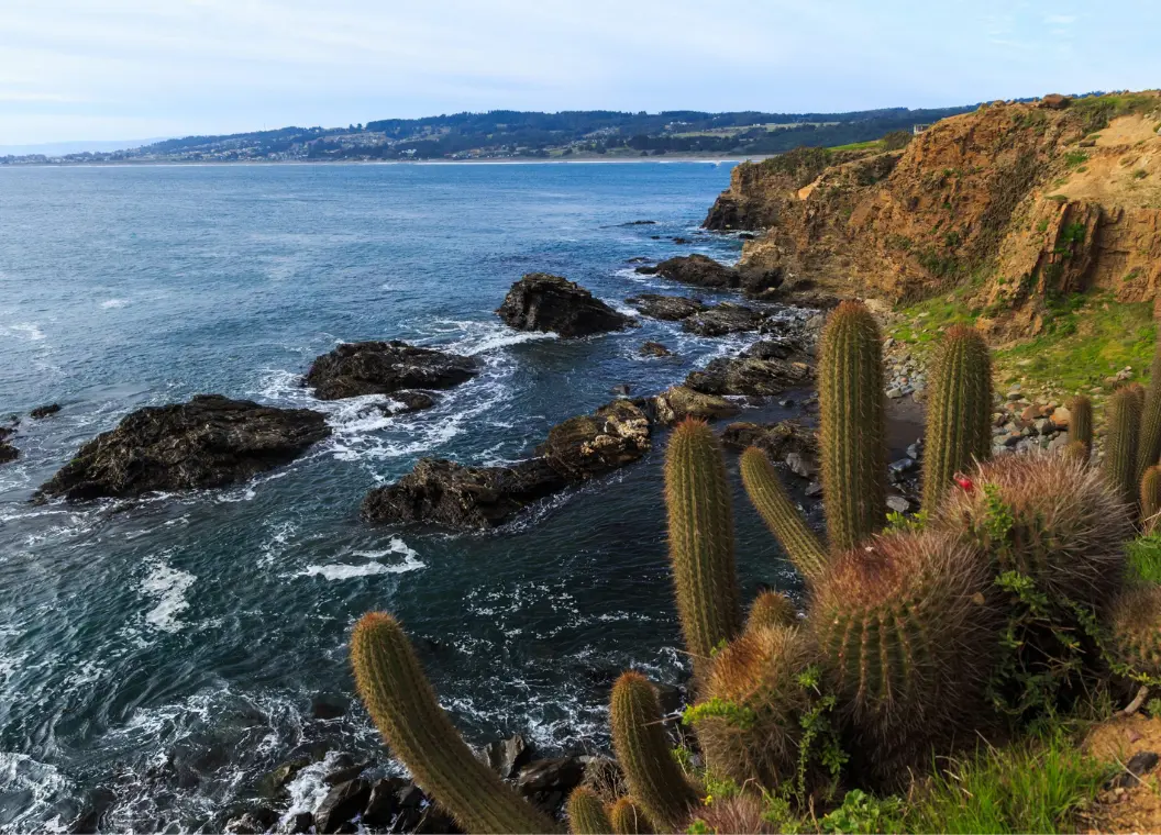 Qué hacer en Región del Libertador General Bernardo O’Higgins